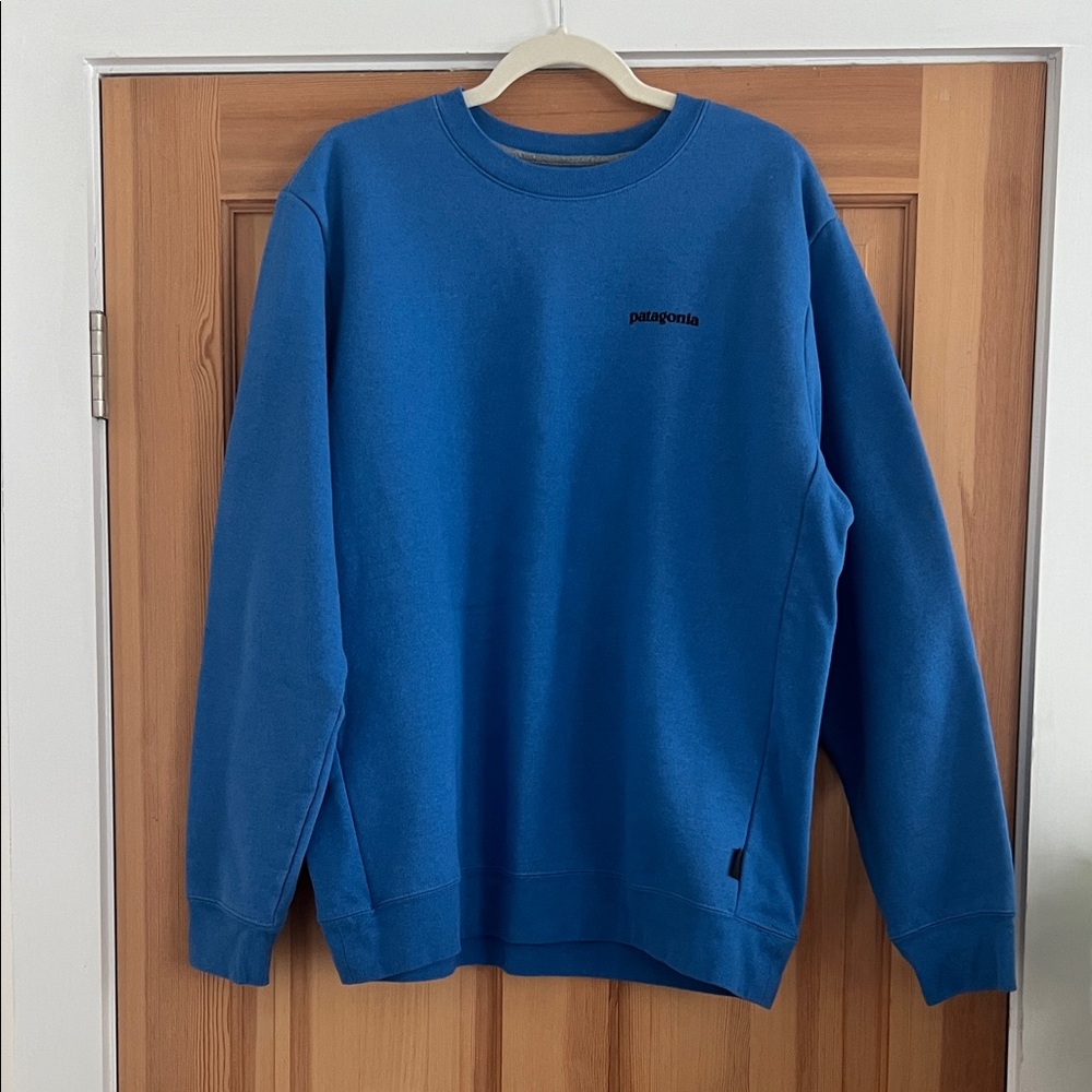 Patagonia Men's Vibrant Blue Crewneck Sweater
